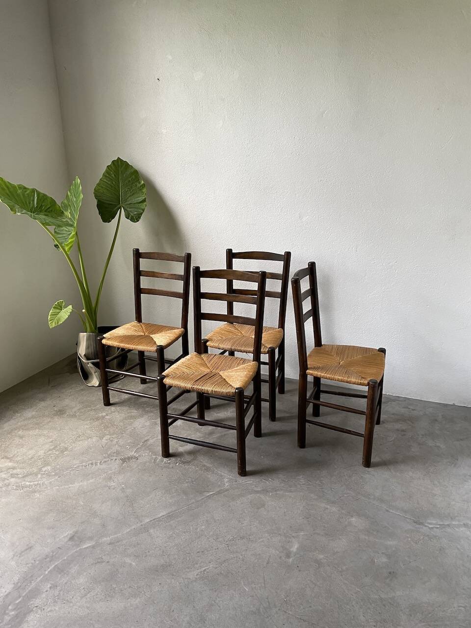 Set of 4 straw chairs from the 50s Dudouyt