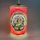 Hand Painted Glass Hanging Lamp