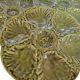 Gien oyster plate
