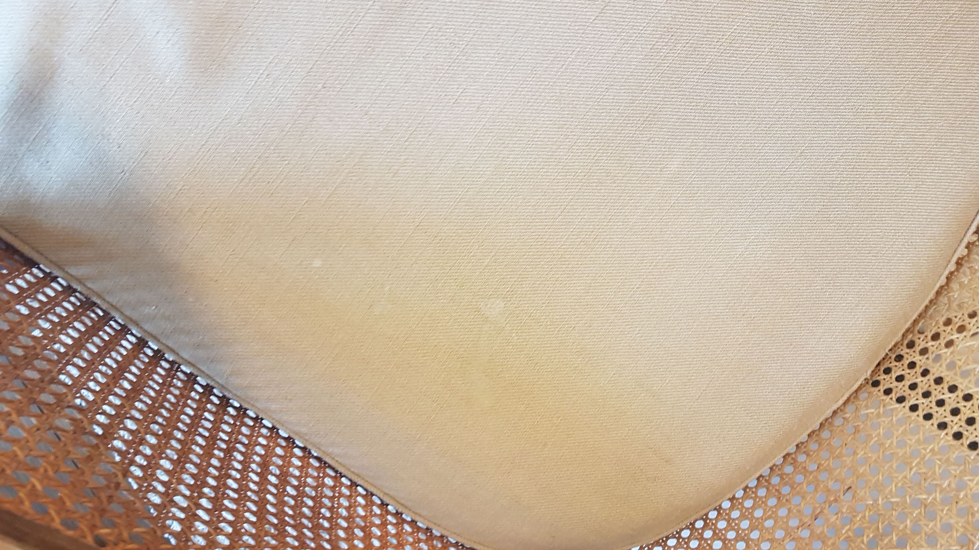 Steiner canna armchair