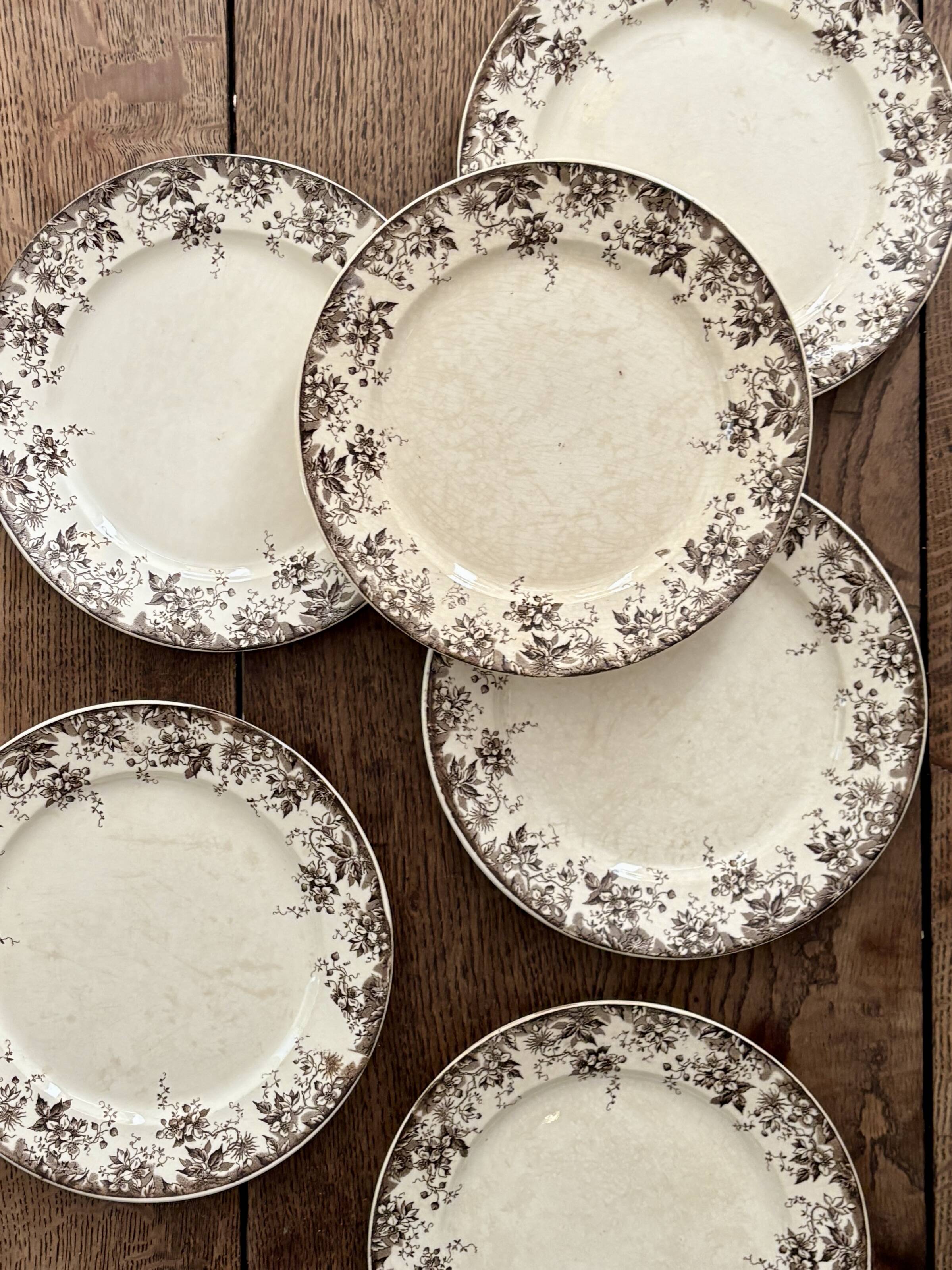 Set of 6 antique ironstone dinner plates, Alphand pattern