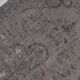 Grey Handknotted Area Rug sku 1510