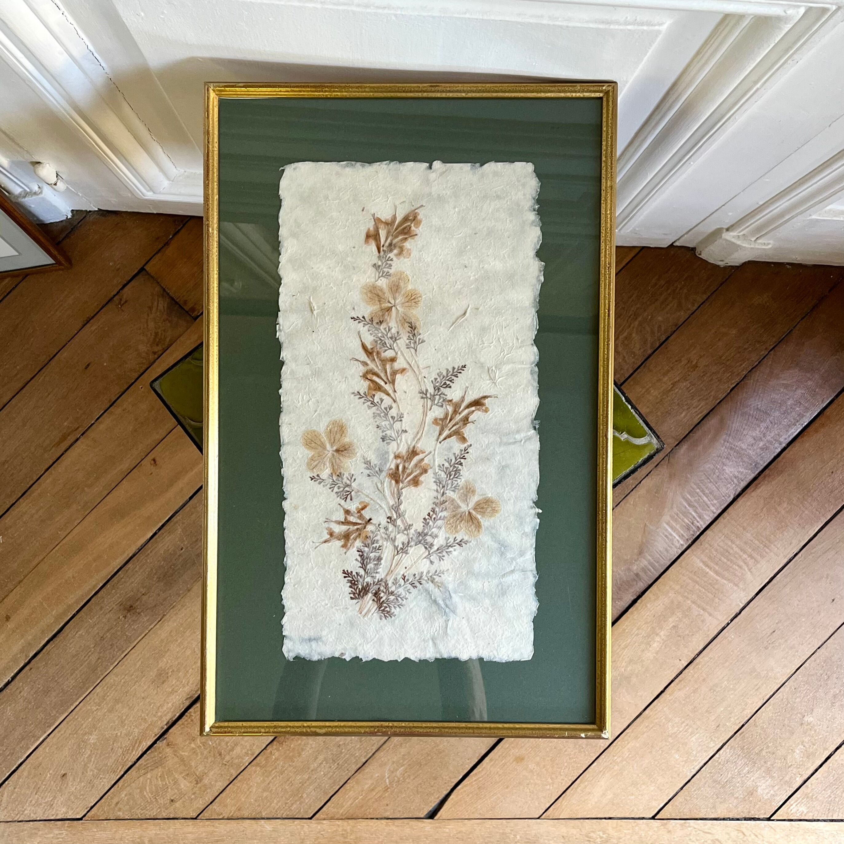 Vintage herbarium frame dried flowers 70s