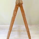 Double painter's stepladder