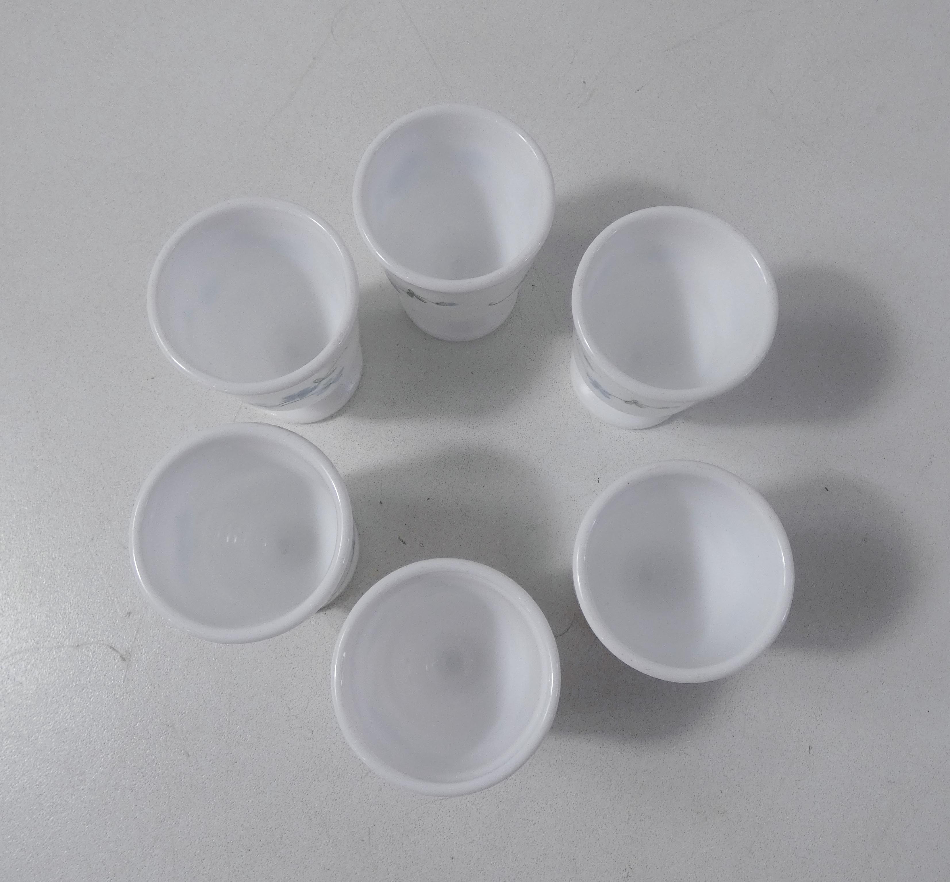 6 arcopal cockroaches myosotis