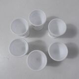 6 arcopal cockroaches myosotis