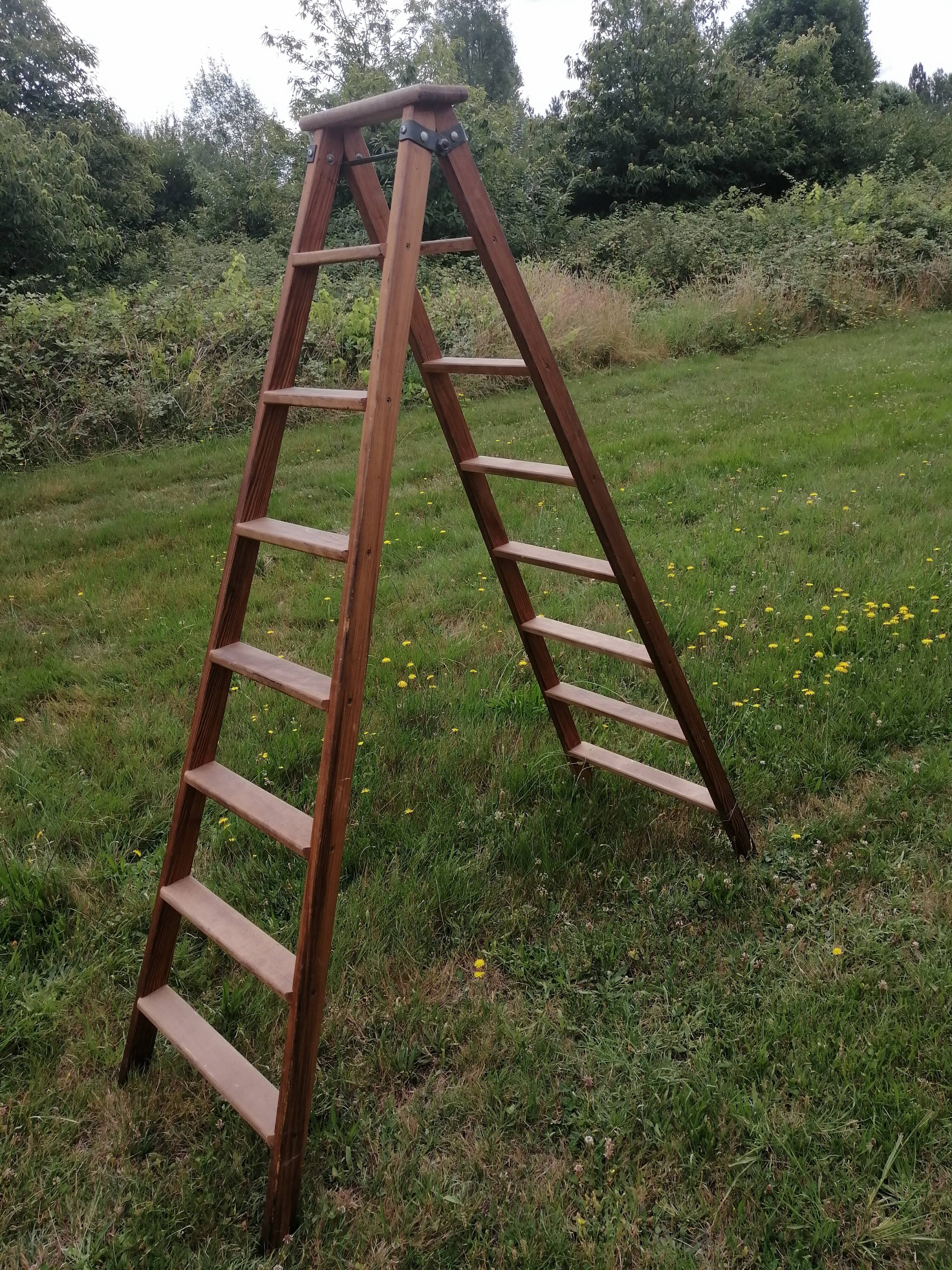 Wooden painter's stepladder