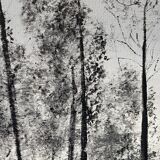 Framed Oil Painting on Canvas by Artist Painter C. M. Ollivierre