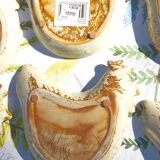 Assiettes poules