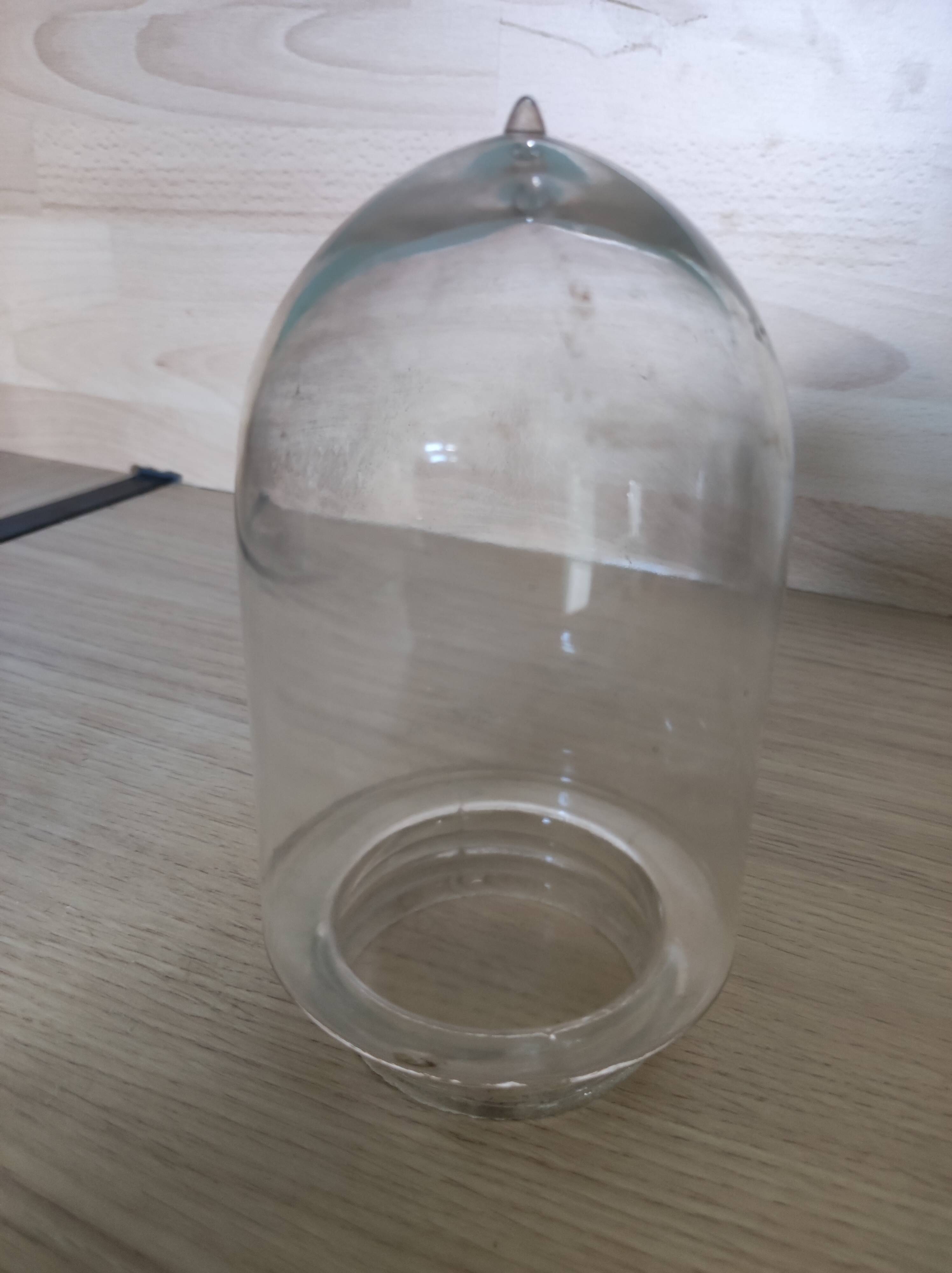 Globe glass shell with nipple lamp gooseneck farmyard