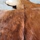 Vintage cowhide carpet 1970 2m20x1m90