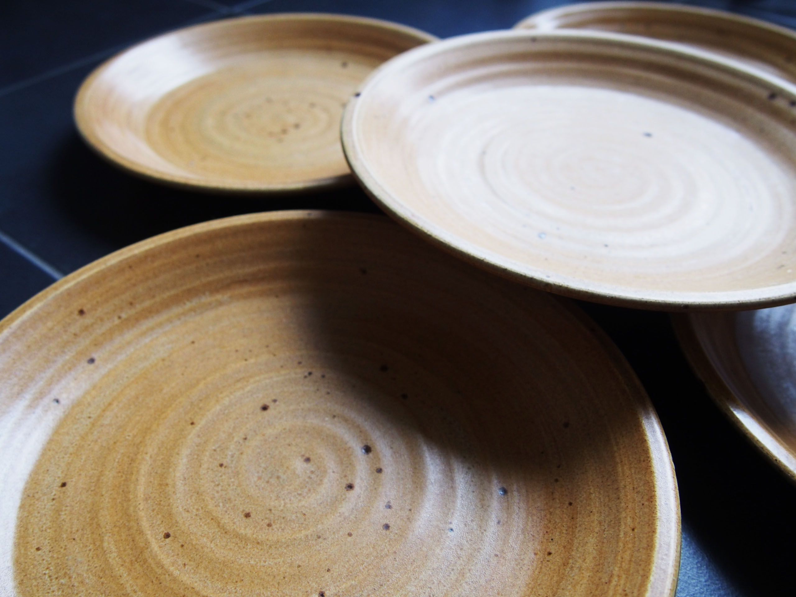 5 stoneware plates