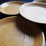 5 stoneware plates