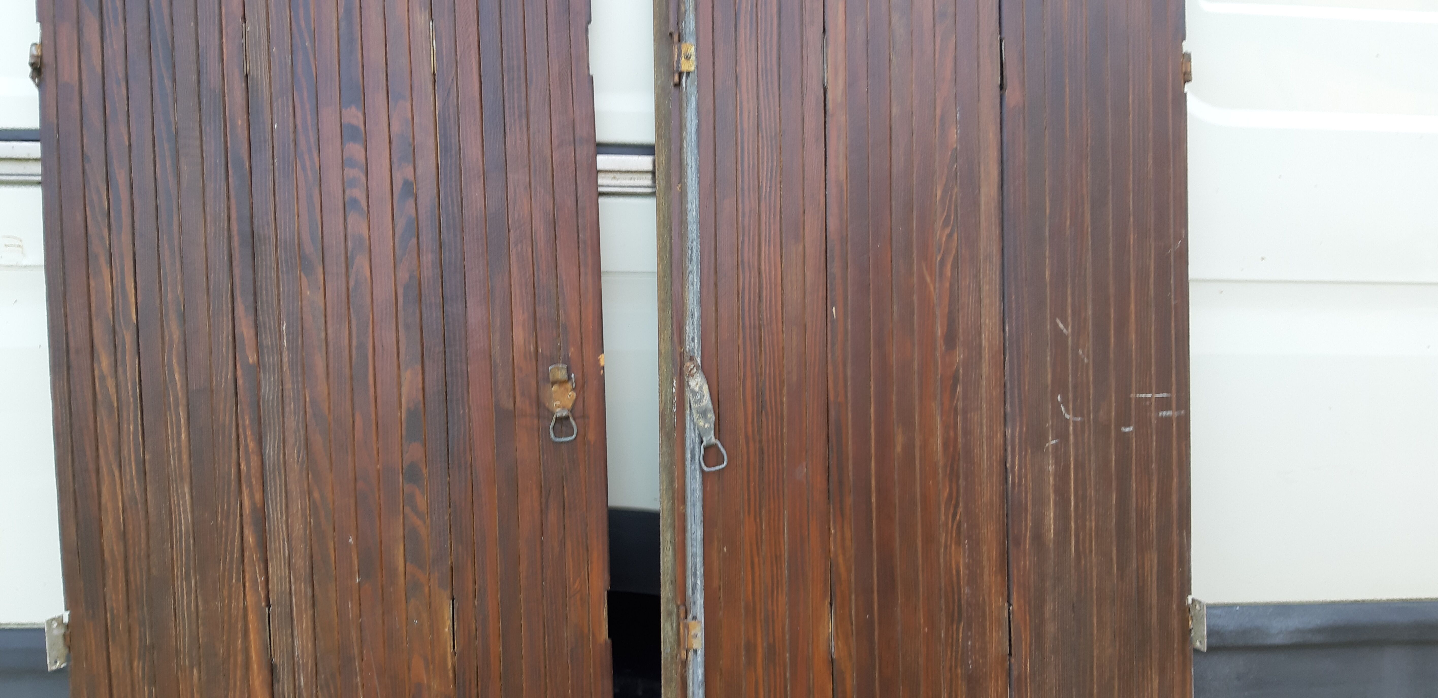 Ancient persians in pine