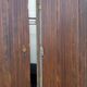 Ancient persians in pine