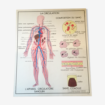 Carte scolaire biologique