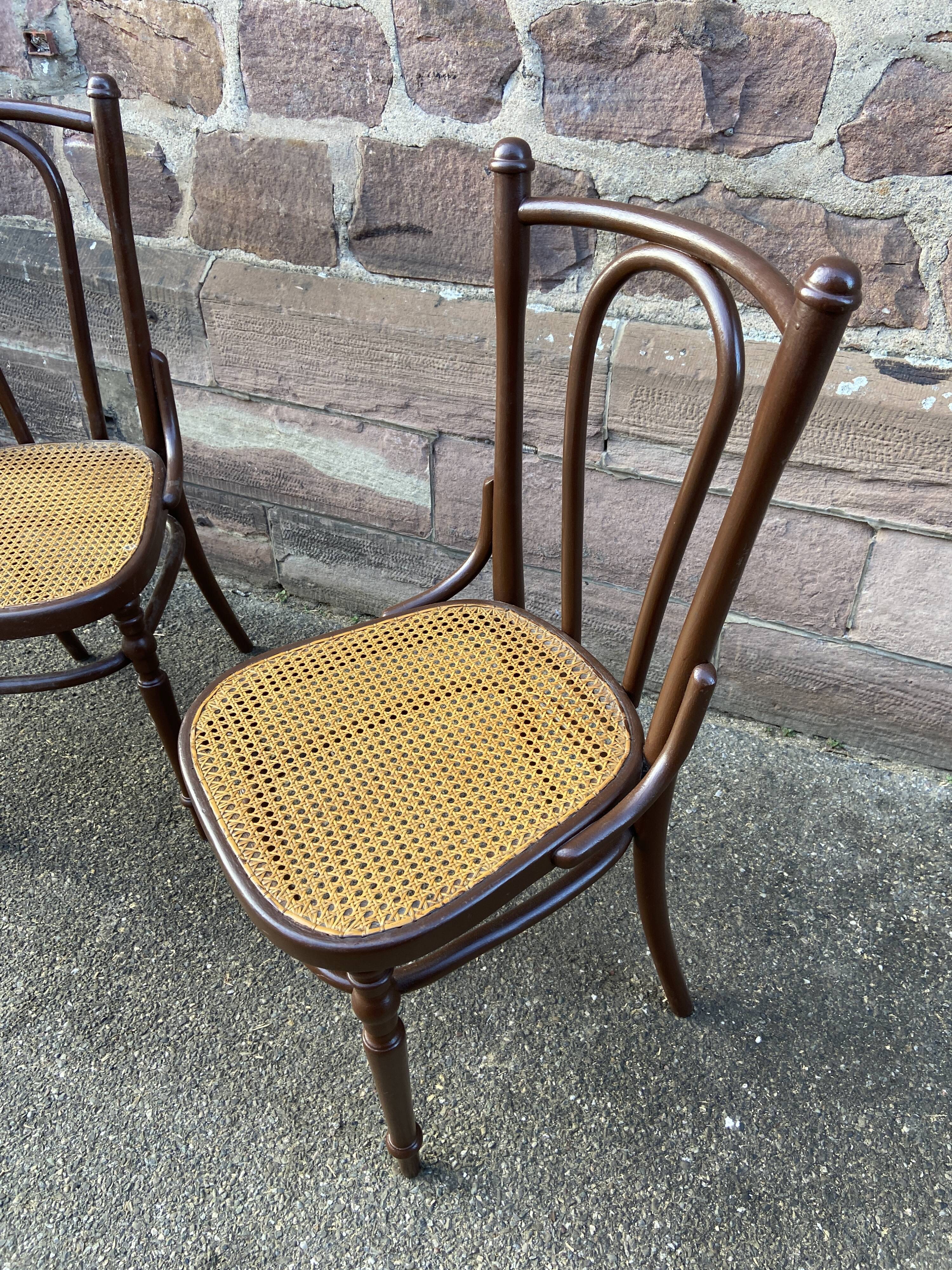 Pair of Viennese bistro chairs Fischel Nr 56 bentwood