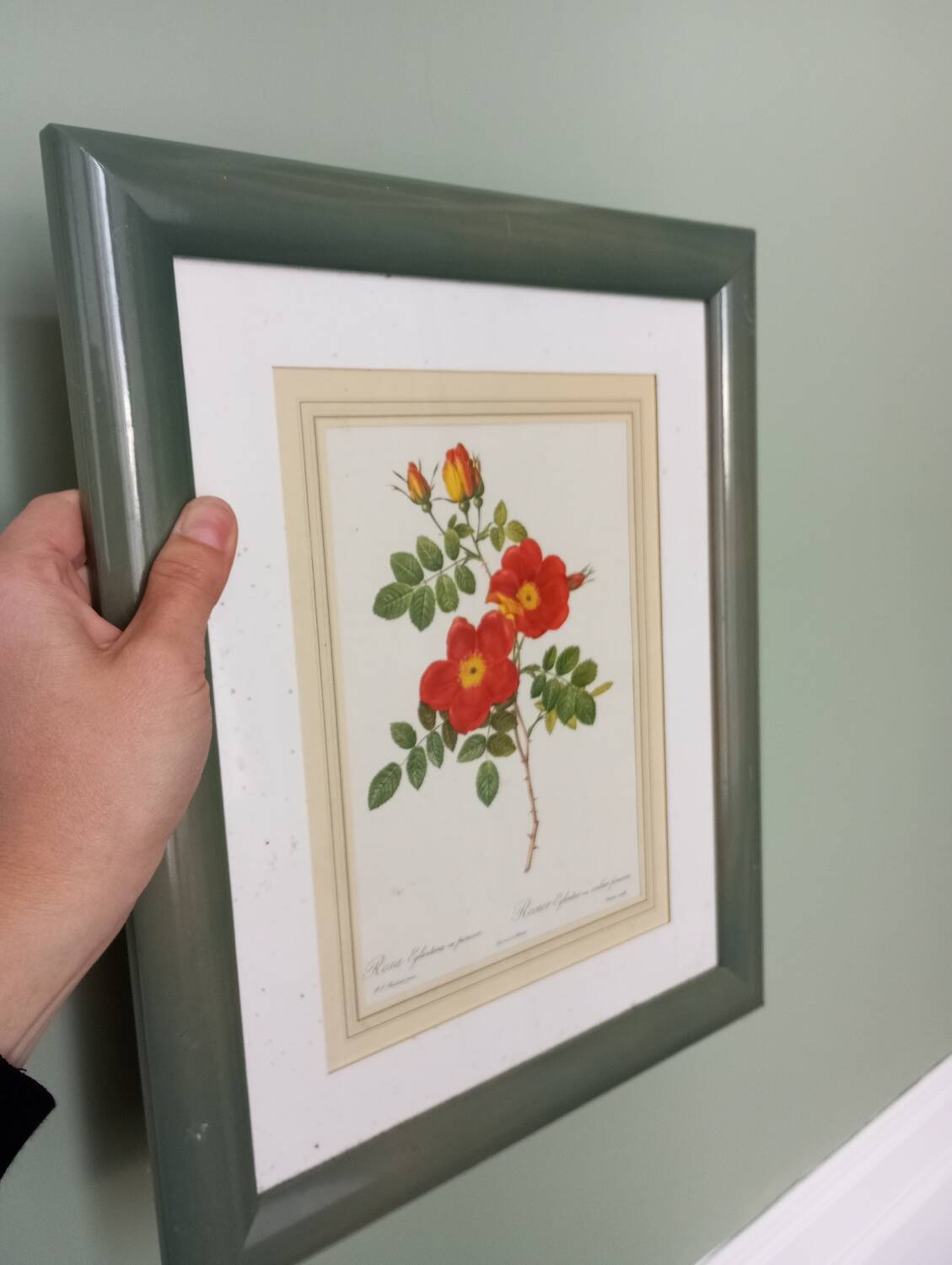 Small pink botanical board