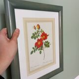 Small pink botanical board