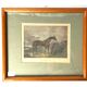 Lot of 2 English equestrian engravings framed late 19th century