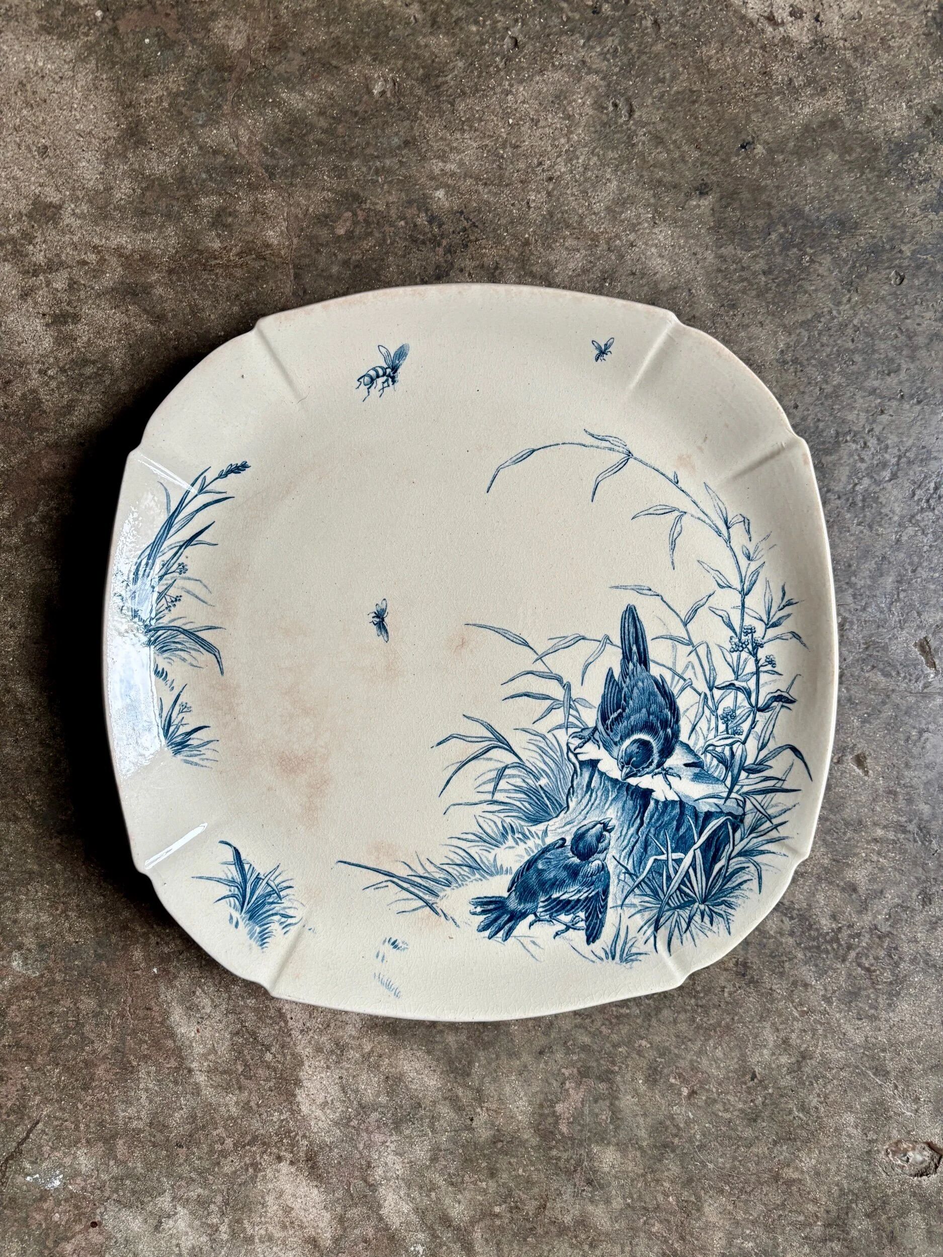 Square flat dish on pedestal Gien in blue ironstone, service "Birds" around 1870.