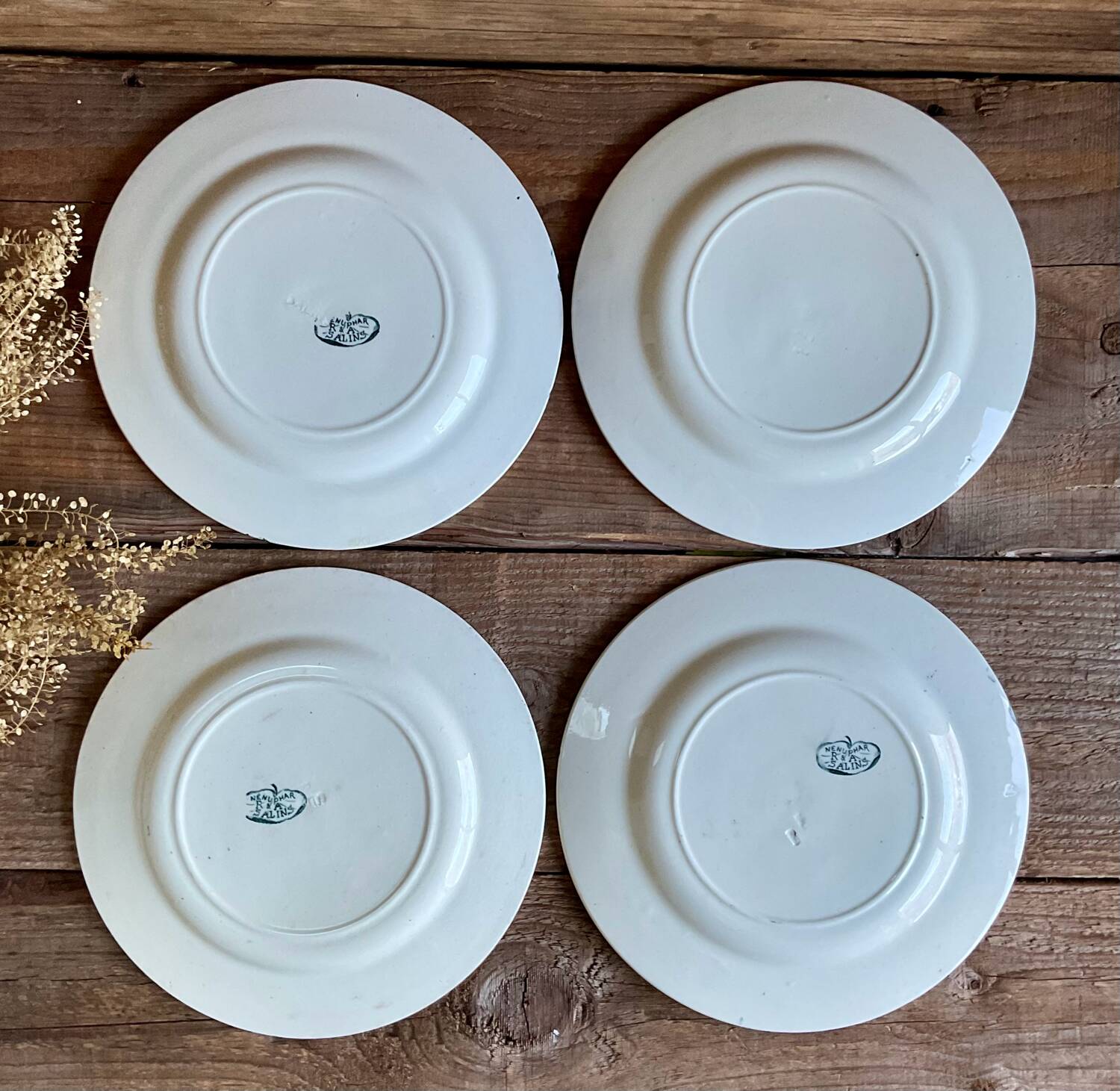 4 assiettes à dessert Nénuphar R & A Salins