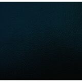 Set of 6 Baumann chairs model Vintage Pegasus 1960