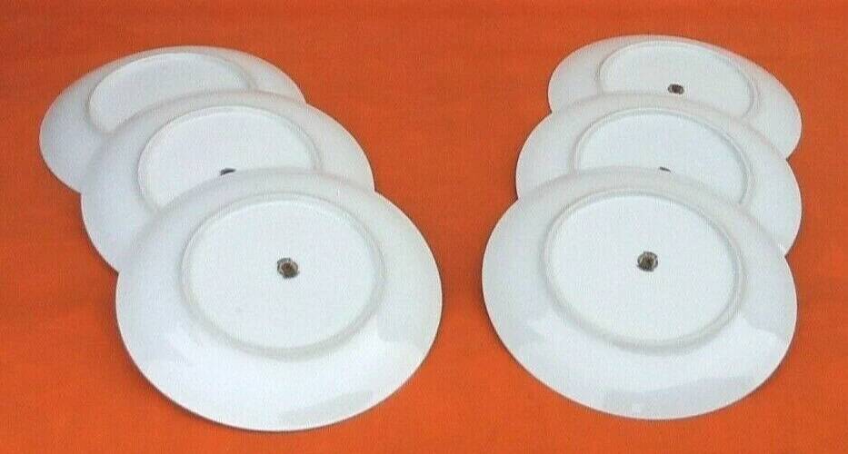 6 flat plates Fine Bohemian porcelain Floral decoration on a white background