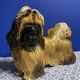 Italian Majolica Shitzu Dog Sculpture by Bravo Italy 1970
