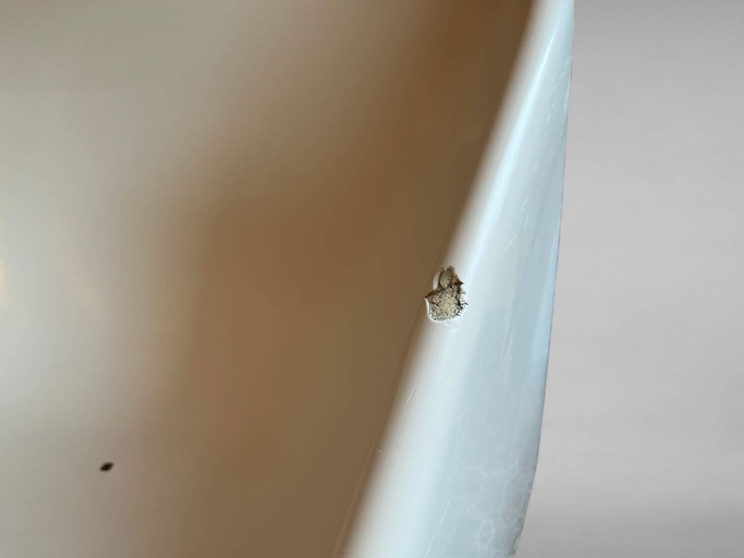 Chaises en fibre de verre du milieu du siècle par Douglas Deeds