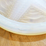 Opalescent sea star table mat