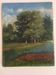 Old painting Forest landscape.