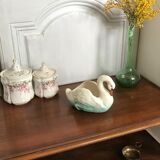 Ancient swan dabbling