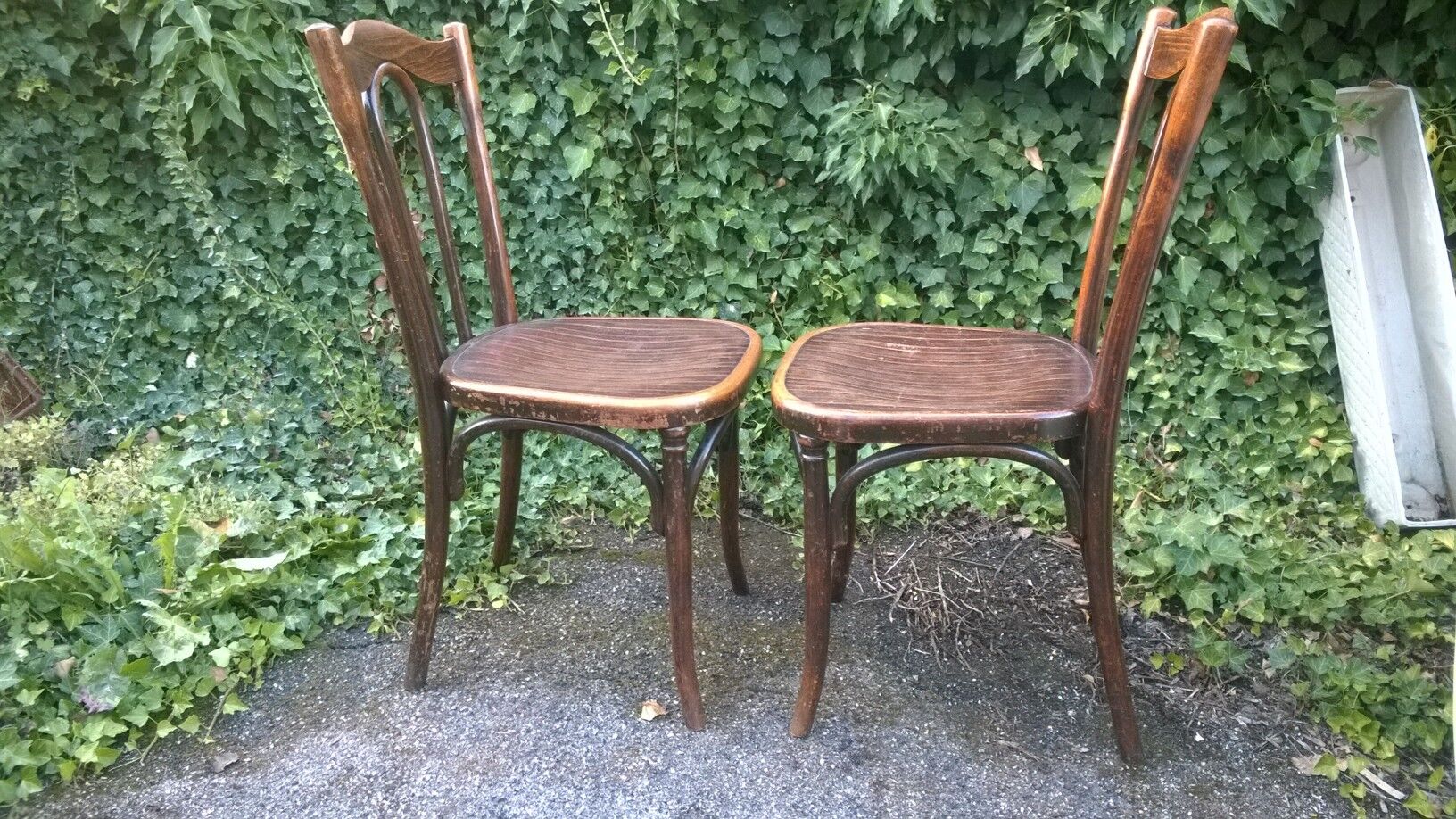 Fischel Curved Wood Chairs Number 37