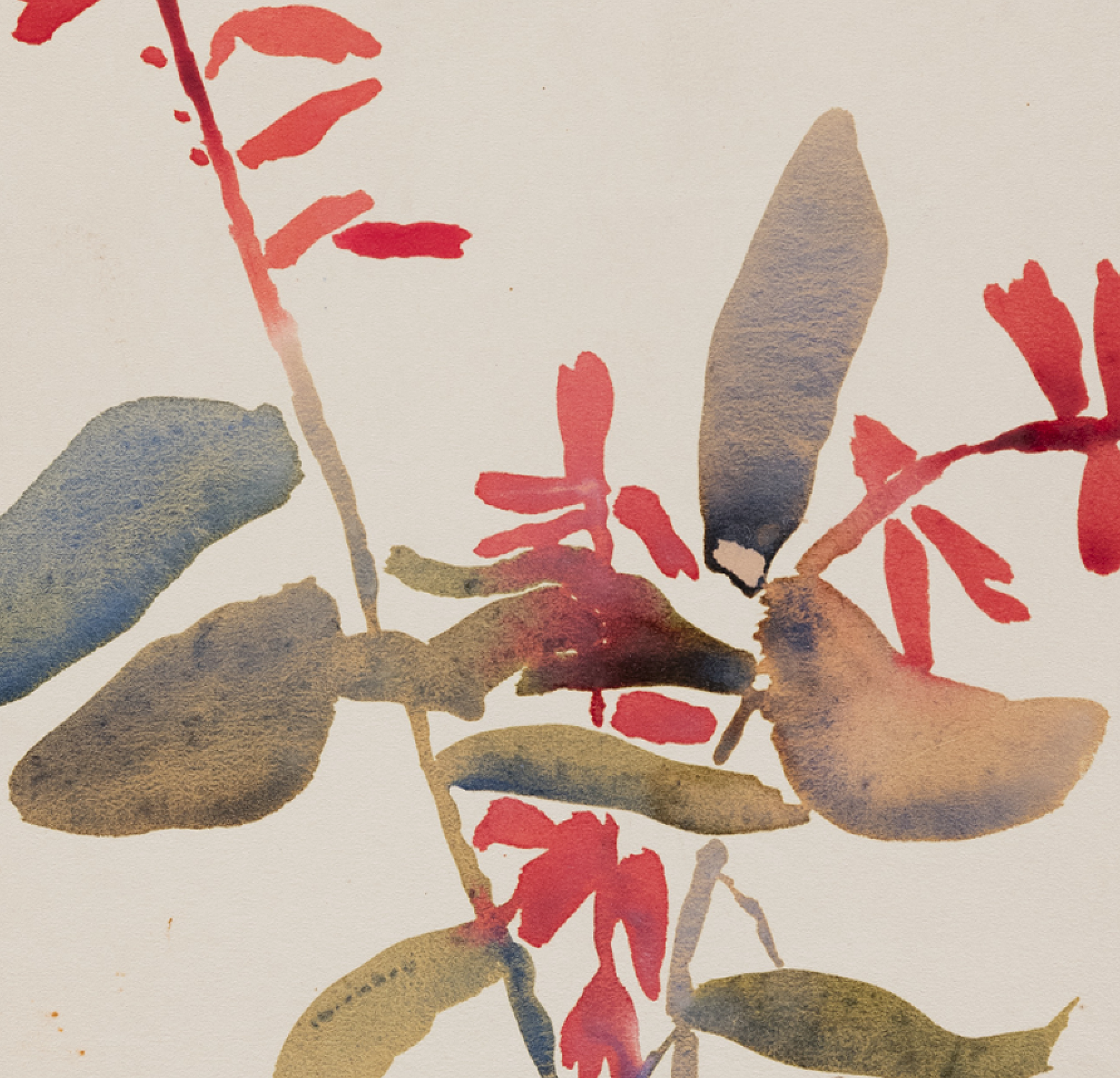 Watercolor illustration flowers