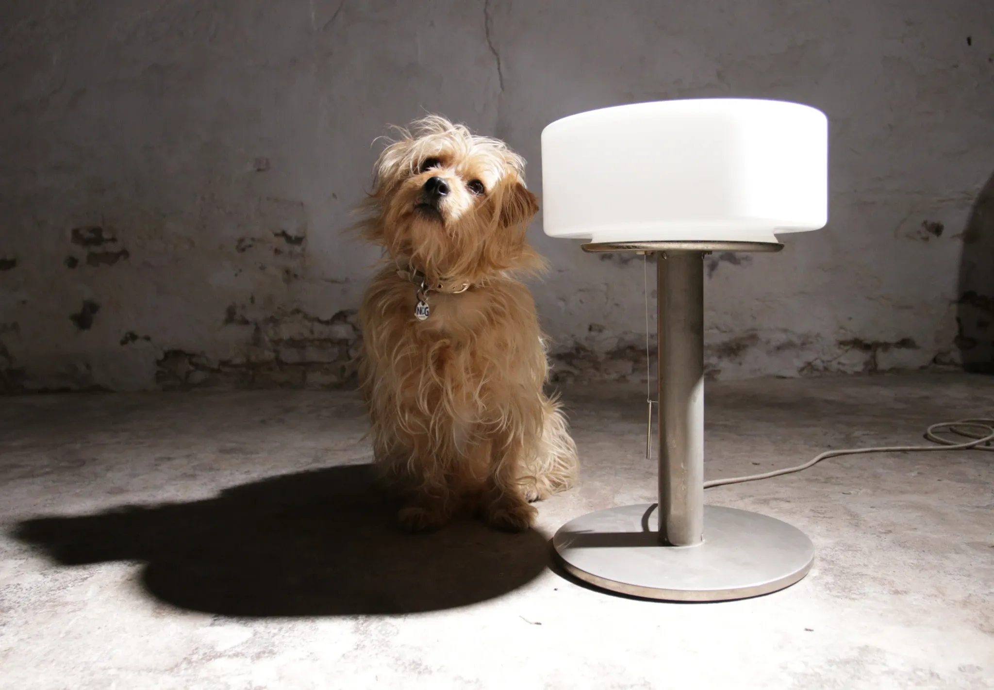 Temde table lamp with opaline glass shade and stainless steel base – 1970s