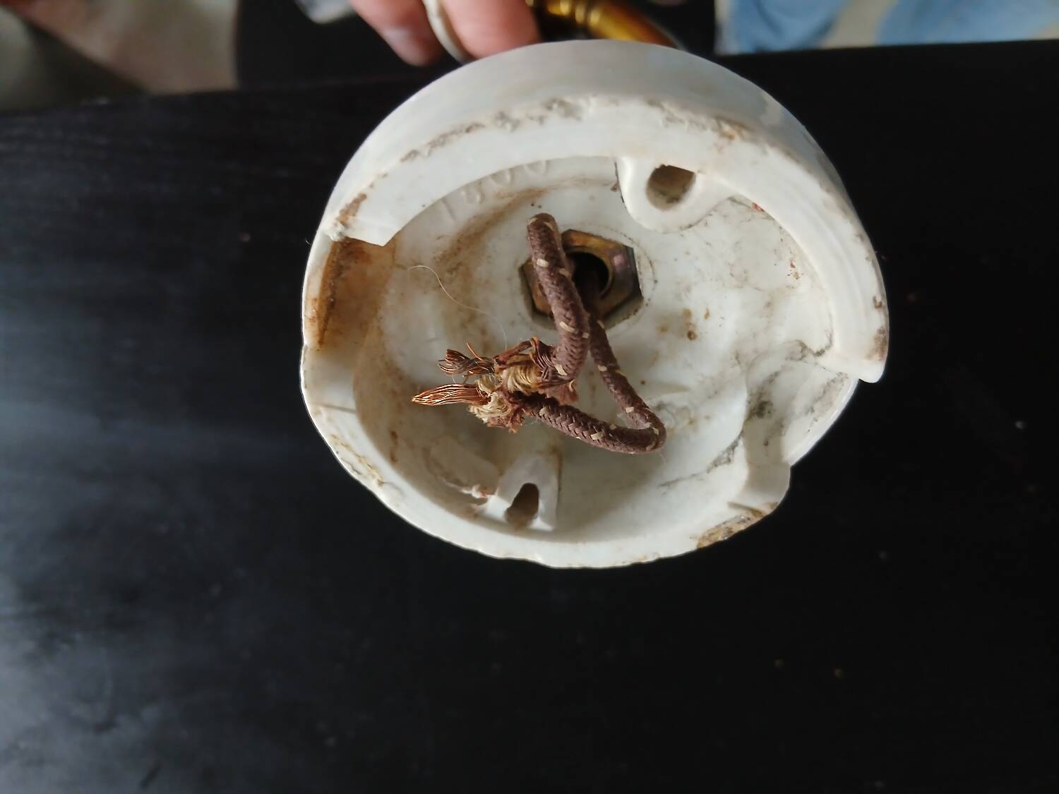 Elbow Wall Lamp Porcelain Tulip Gold with Flowers