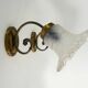 Pair of brass swan collar wall light old tulip glass. Year 60