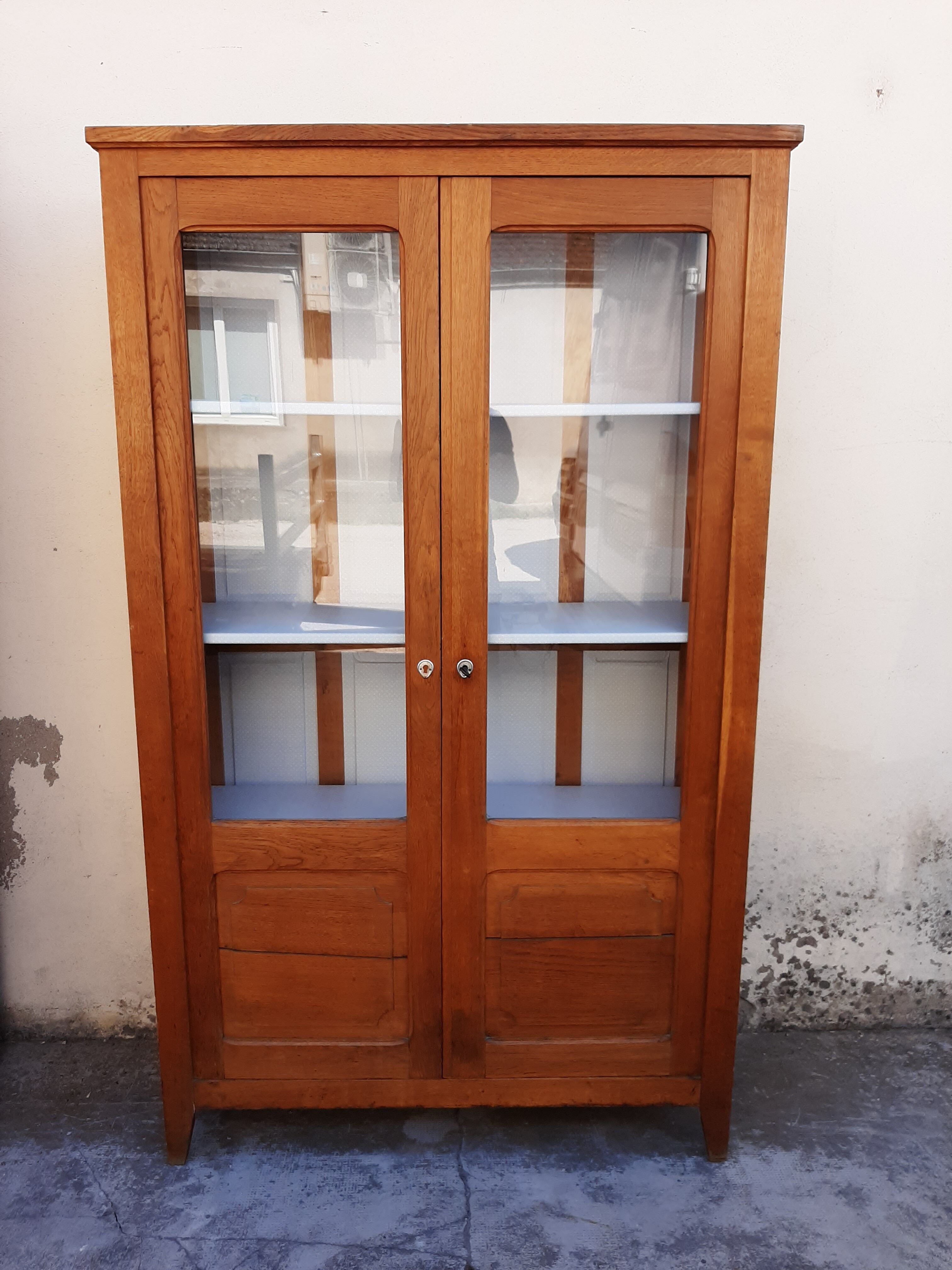 Ancient parisian oak library
