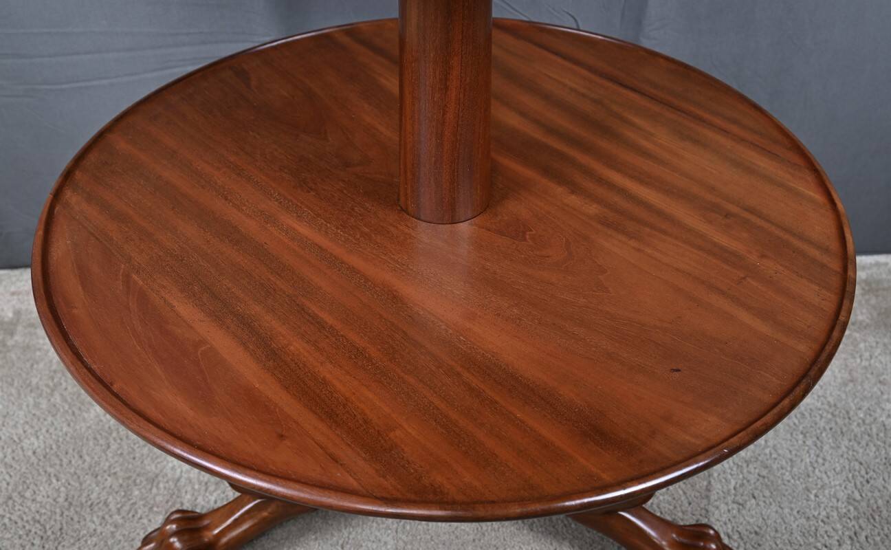 Mahogany Mute Servant, Chippendale style, England - Late 19th century