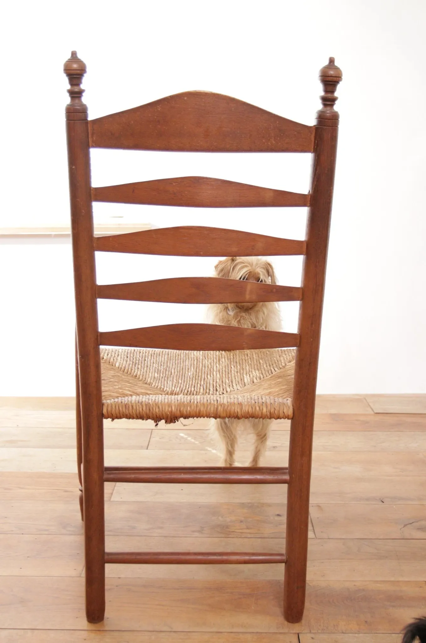 Dutch oak ladderback armchair with rush seat – 1950s