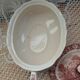 Antique Palissy soup tureen / England