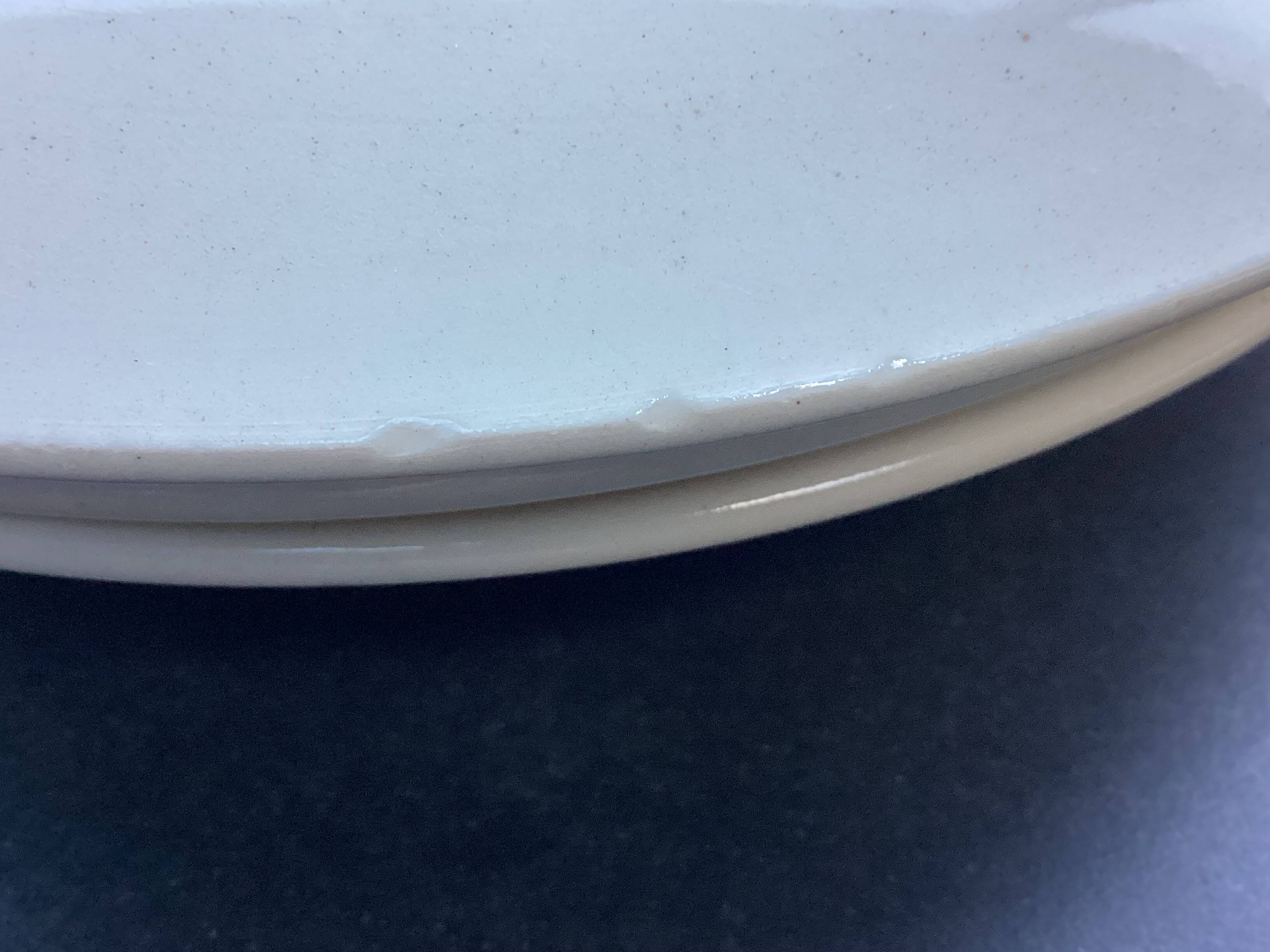 8 K & G Lunéville Sylvain pattern dinner plates