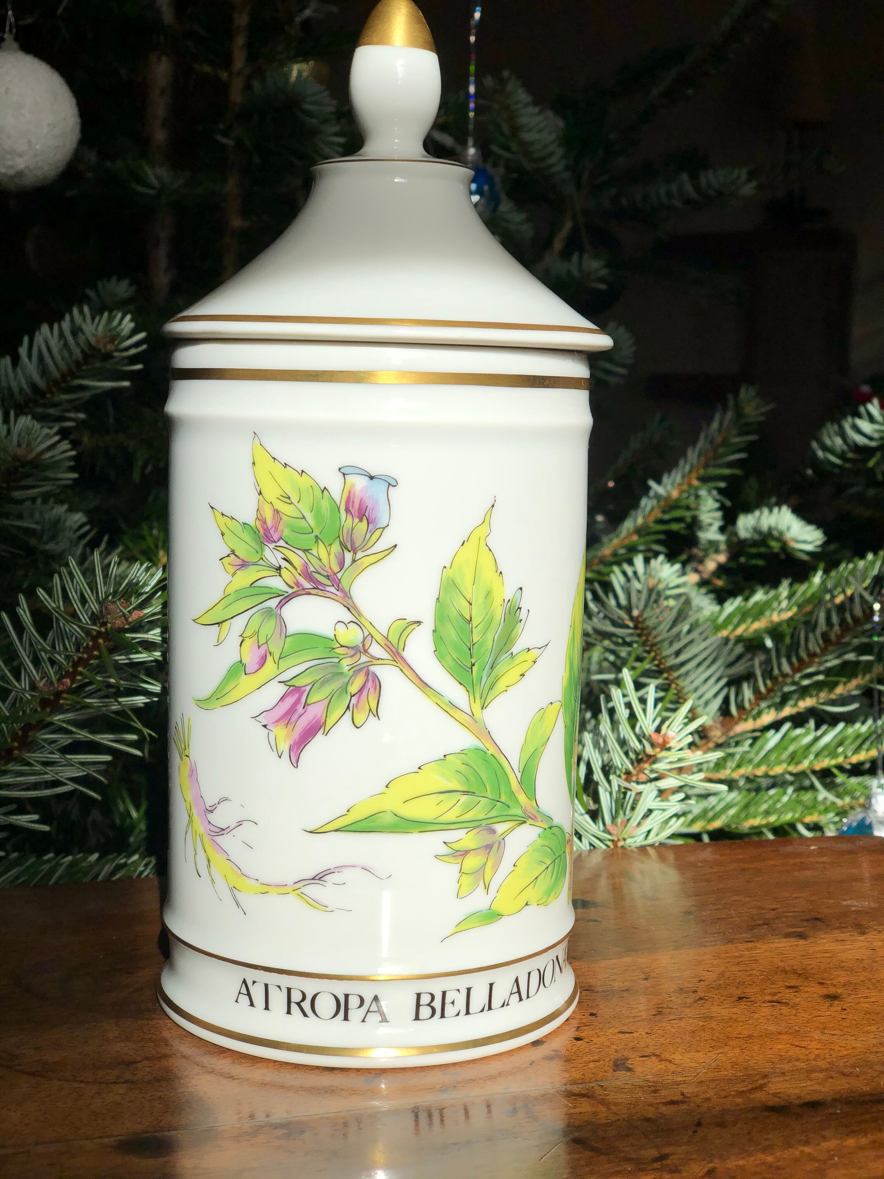 Pharmacy pot "Atropa belladona"