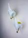 Pair of Italian "Calla Lily" leaf-shaped wall sconces, Murano glass & gilt brass, circa 1970s