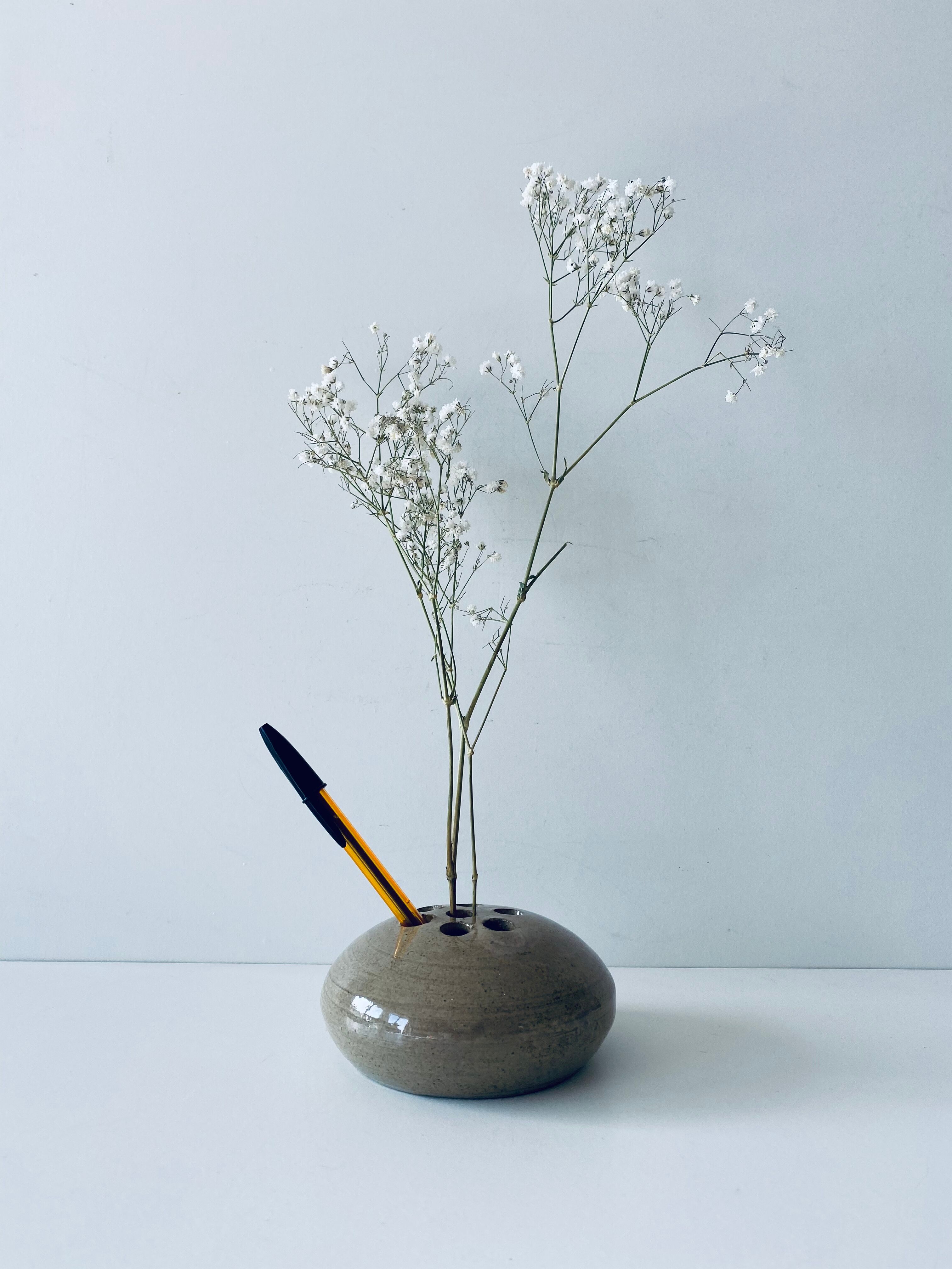 Vase stings flowers lens shape