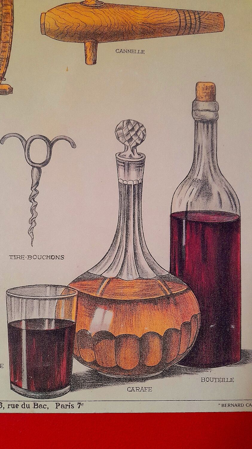 Educational poster Deyrolles Le Vin.