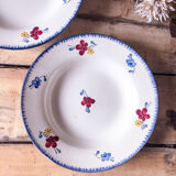Duo of plates digoin Sarreguemines