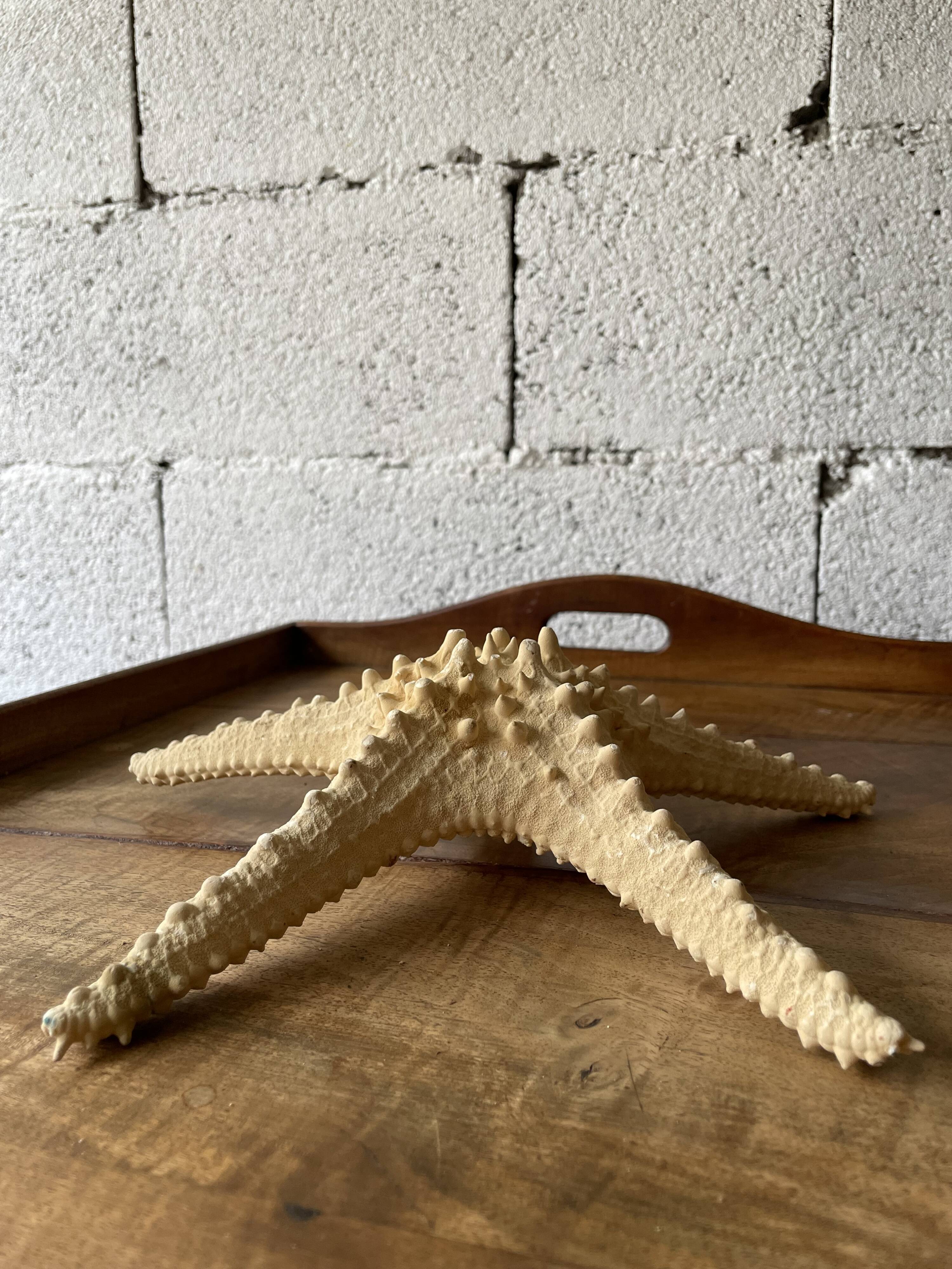 Starfish