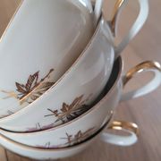4 cups and saucers made of fine porcelain from Bavaria.